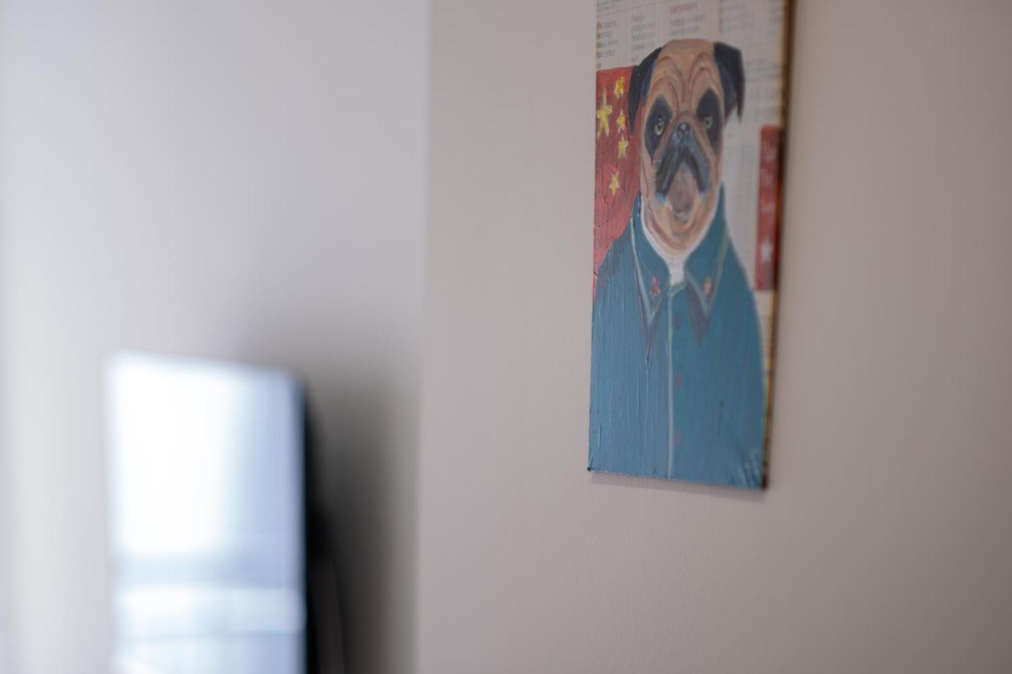 舒适漂亮的休闲公寓 Apartment *